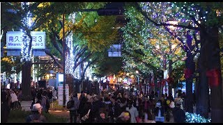 大阪光の饗宴2017