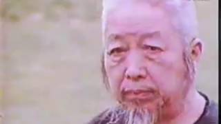 Yang Taijiquan. Professor Man-Ching Cheng.