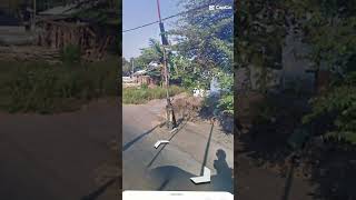 #JJPKAE || Perlintasan KA JPL ??? Kalisat Panaruka || #railroadcrossingindonesia