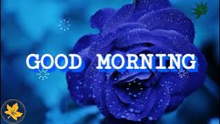 GOOD Morning ☀️☀️🌞🌞 || Ronna Riva - Attitude || #Ronna Riva #Latest #Music #Attitude ||