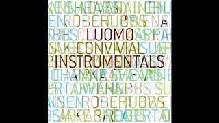 Luomo - Robert&#39;s Reason (Instrumental)