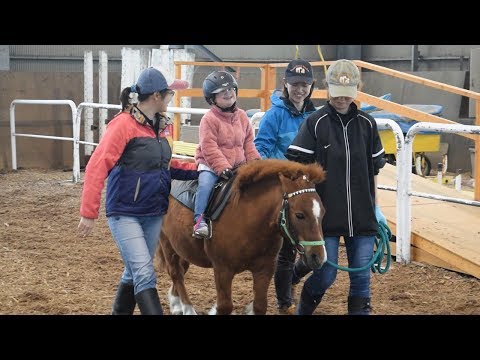 馬術療法の効果とは？種類やメリットを徹底解説