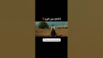 لإقطع سور الورد وامشي صحرا وجرد غسان صليبا اكسبلور Arabicmusic خيل اغاني رومنسية اغاني 