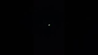 Ngeribioskop 4 Dimensi