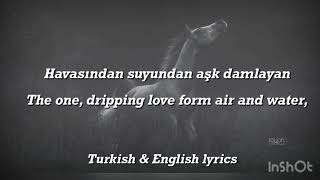 Mustafa Celeli - Gül Rengi (English And Turkish)