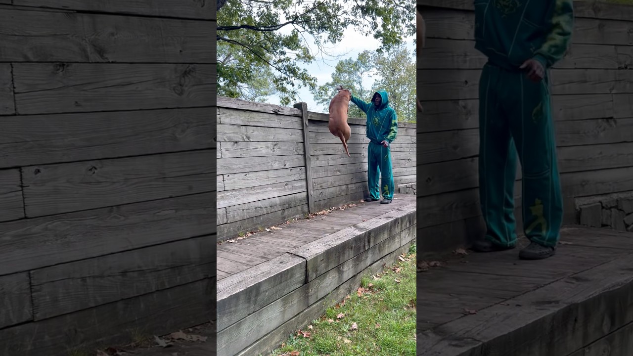 THE MOST ATHLETIC REDNOSE 