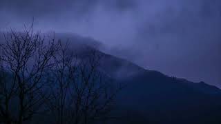 I wonder if there is a pure land in this world that is as sacred as what I picture in my heart.
