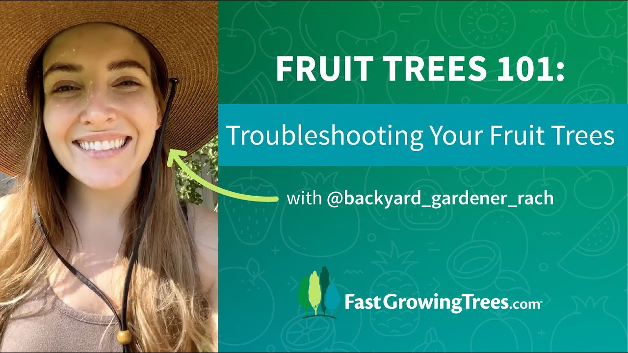 (5/6) TROUBLESHOOTING YOUR FRUIT TREES