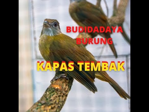 ผลสลากกินแบ่งรัฐบาล วันที่ 1 พย. 2567