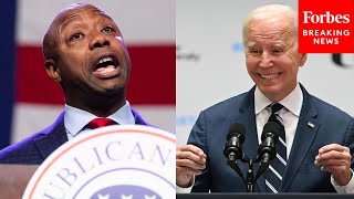 'The Biden Administration Weaponizes The Issue Of Race': Tim Scott Discusses Crime In America