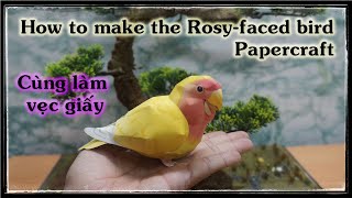 How to make paper model Rosy-faced Lovebird