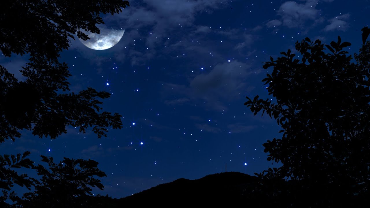 Cricket Conversation in Breezy Night | 10 Hours | Nature Ambience for Relaxation & Deep Sleep