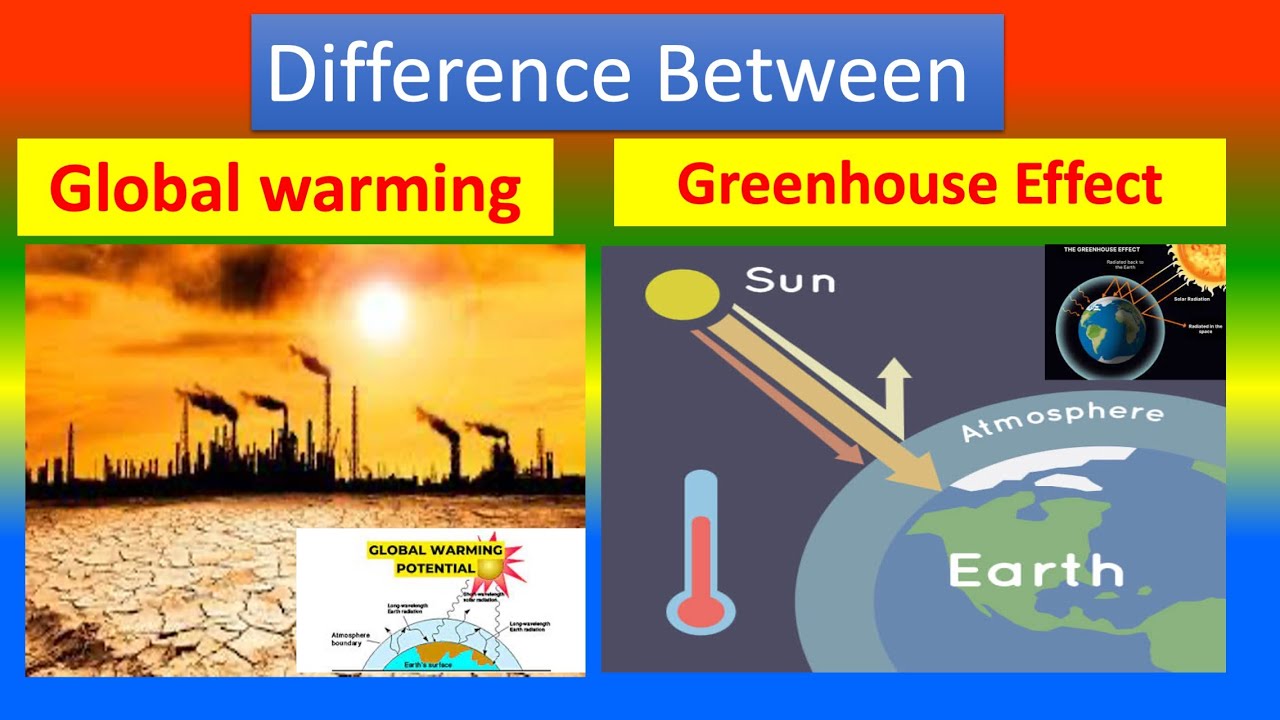 Difference Between Global Warming and Greenhouse Effect - YouTube