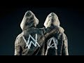 Alan Walker Sasha Alex Sloan Hero Aras Özege Remix Official Audio