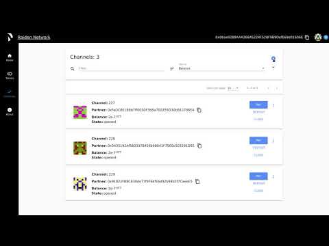 Raiden Network Web Application Demo