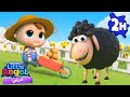خ خ خروف أسود أغنية الخروف لا يريد قص شعره مطاردة مضحكة في المزرعة أغاني أطفال