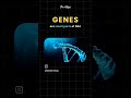 Skin and Explain DNA # viralvideo #