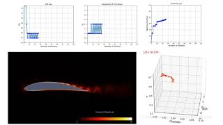 Unsteady Aerodynamic Optimization