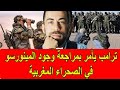لايف شوقي بن زهرة يفاجئ النظام الجزائري بكلام خطير على المغرب