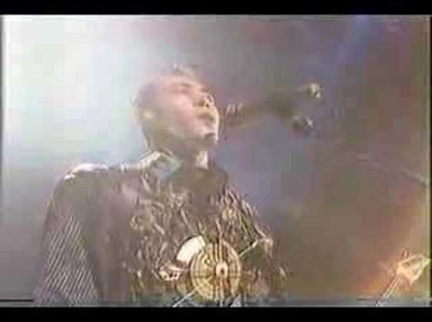 Susumu Hirasawa ~ Haldyn Hotel