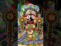Jai Jai Jagannath # Jay Jay  mahaprabhu 🙏🙏🙏🙏🙏🚩🚩🚩🚩🚩