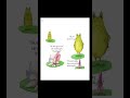 Bully | Kids Book Read Aloud | Bedtime Story for Children #readaloud #kidsread #bedtimestories #kids