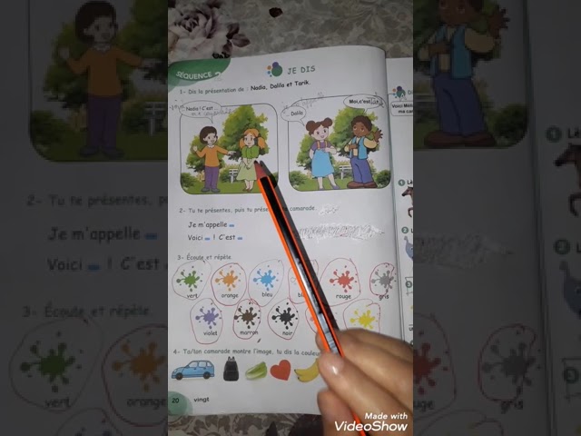 3èmeAp  :Livre de lecture p20