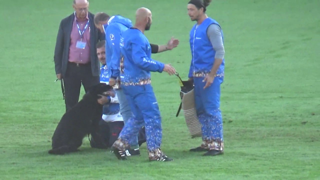 2019 WUSV WM in Modena ITA‐3 ALESSANDRO GIANNINI   NAKY DI CASA DEL BEATO M C NQ