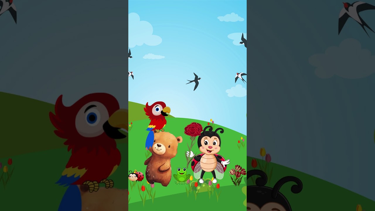 Der verschwundene Regenbogen, # Cartoon, 