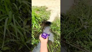 Jbl Go 4 Waterpool drop