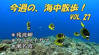 今週の海中散歩！（スキンダイビング）VOL.27　残波岬・ウドゥイガマ・瀬名波