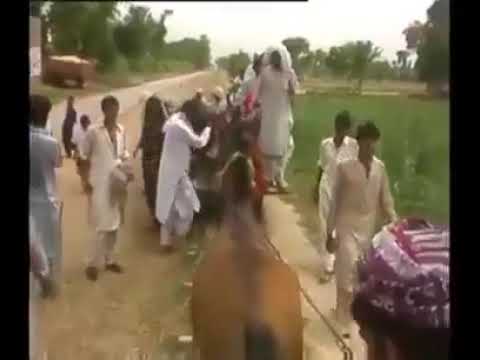 90 year old Horse Train of Pakistan