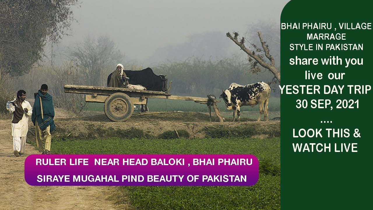 The way of BHlAI PHAIRU , Near to Head Baloki village Life set up in On the Way , 30 September 2021