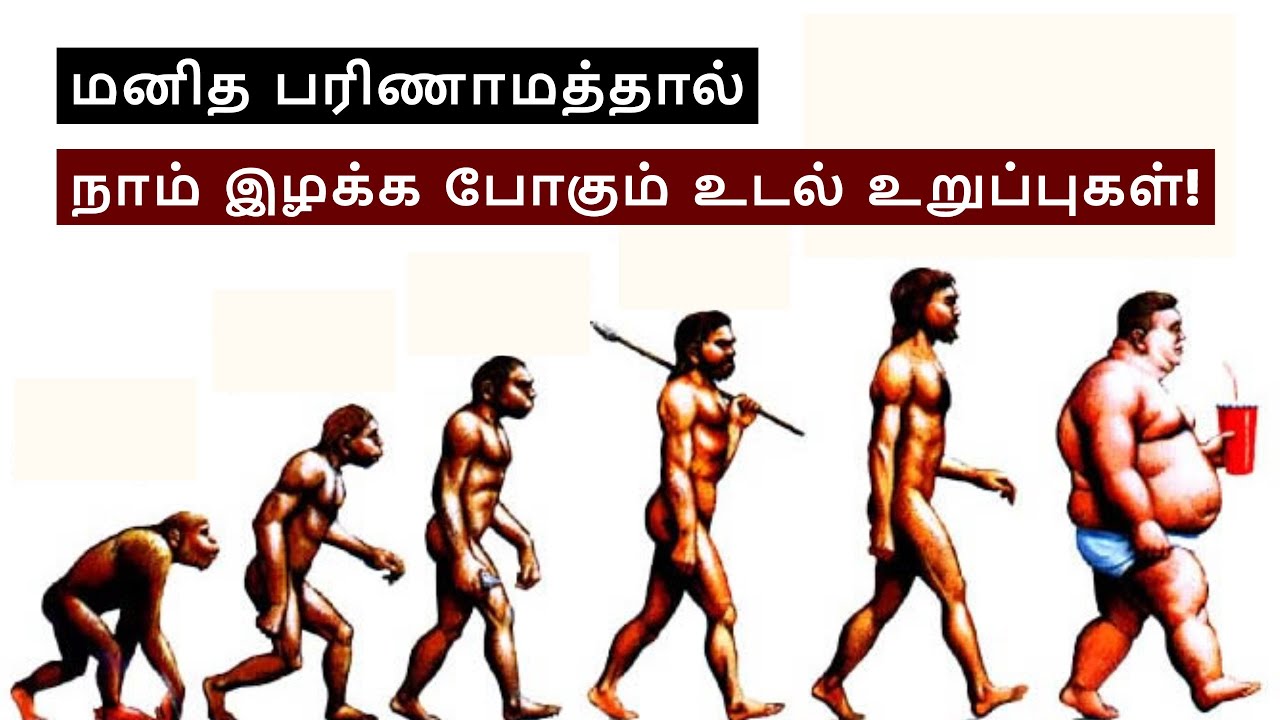 Эволюция слабые сильные. От обезьяны к человеку. Современный человек. Эволюция человека до современного. Следующая ступень эволюции человека.