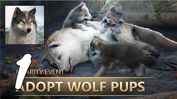 Wolf Game: The Wild Kingdom Gameplay Walkthrough Part 1 (Android, IOS)