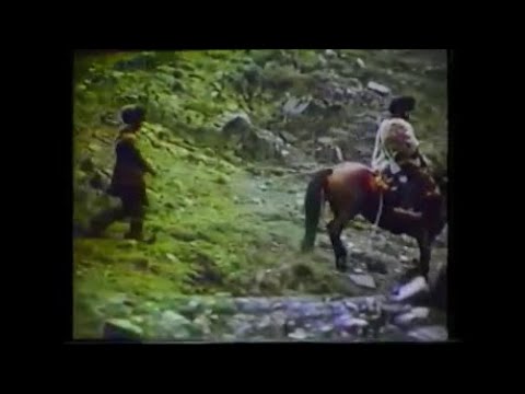 \"ცოდვის შვილები\" - ტყვე