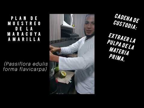 Plan de Muestreo Maracuyá Amarilla (Passiflora edulis forma flavicarpa) - CADENA DE CUSTODIA🧪🧑‍🔬