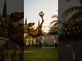 Brazil's Dog at the World Cup 2026 🇧🇷⚽ #shorts