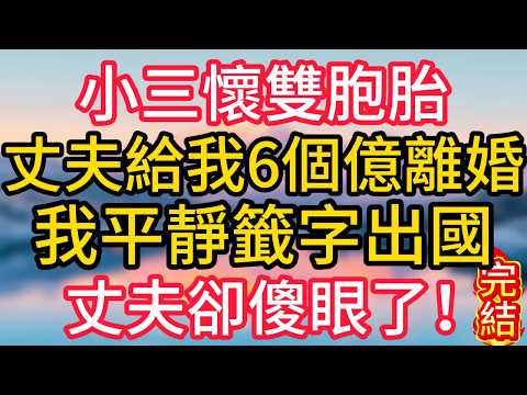 小三懷雙胞胎，丈夫給我6個億離婚，我平靜籤字出國，丈夫卻傻眼了！#聲聲故事