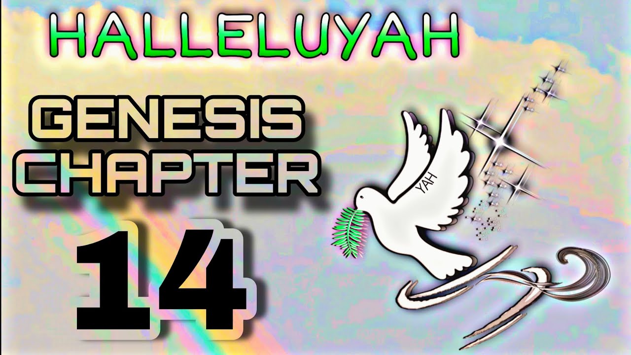 GENESIS CHAPTER 14 - YouTube