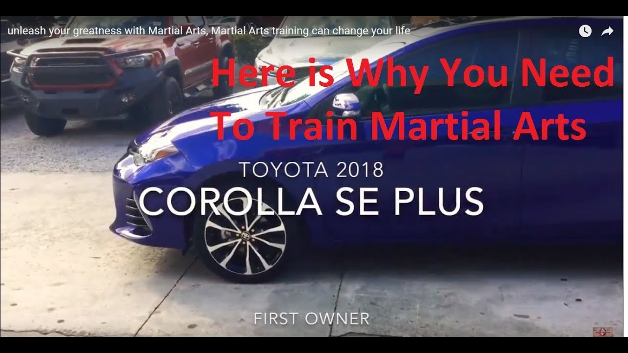 unleash your greatness with Martial Arts, Martial Arts training can change your life arts of problem solving