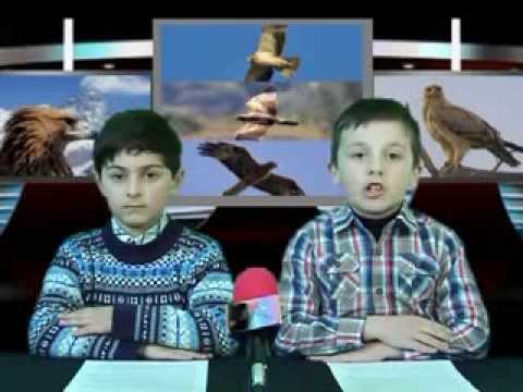 მიკროფონი (არწივი)