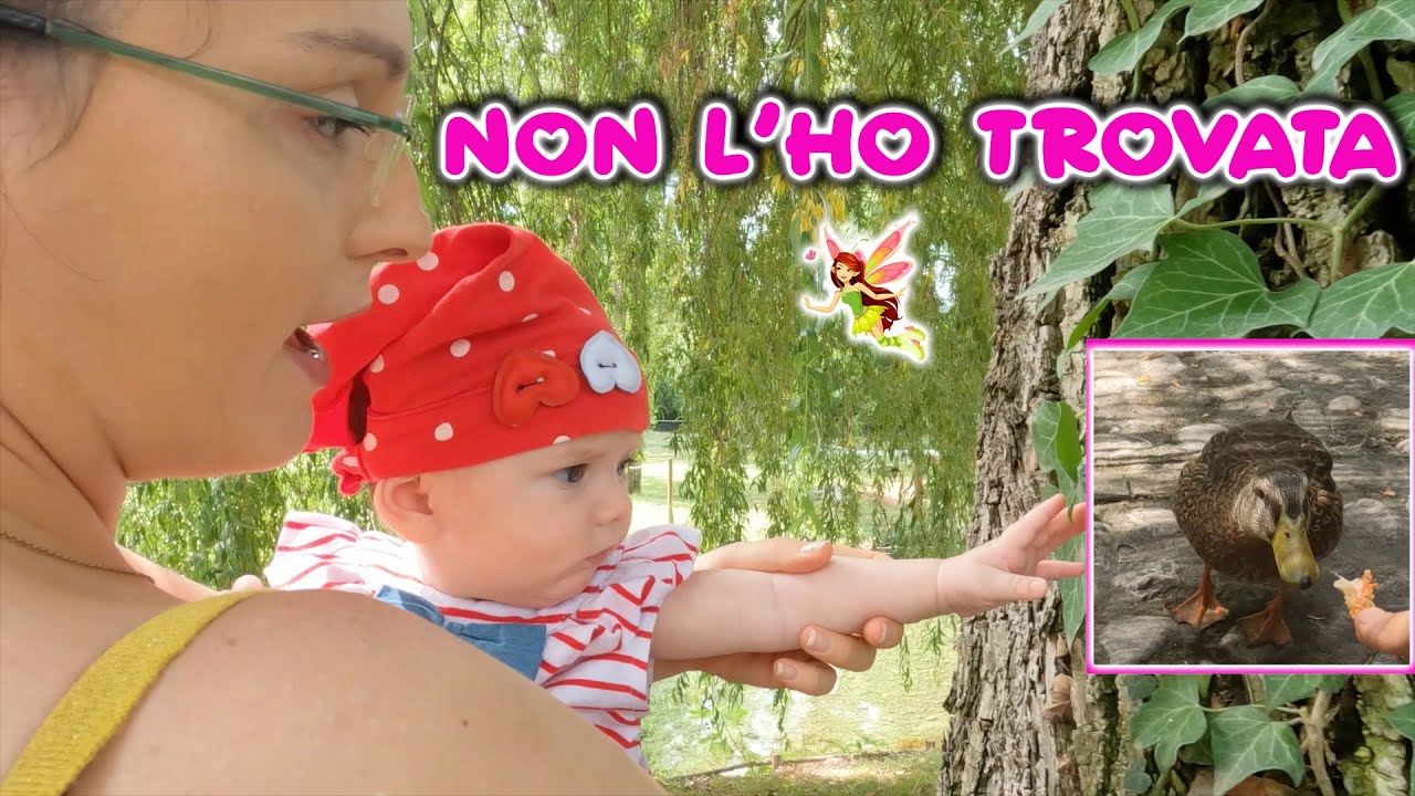 INCONTRI AL FIUME Se neonati e cani parlassero YouTube INCONTRI AL FIUME Se neonati e cani parlassero YouTube