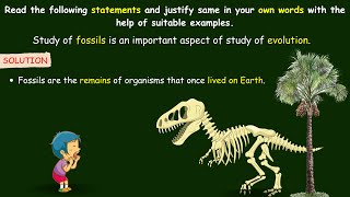 study of fossils is an important aspect of study of evolution | significance of the study of fossils