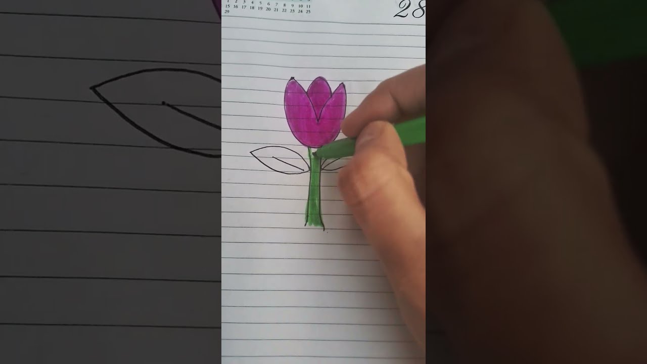 Amazing Colors Mixing Scribble Art Funny Shagundelight Cartoon Tulip