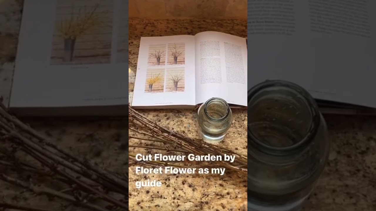 Forcing branches indoors