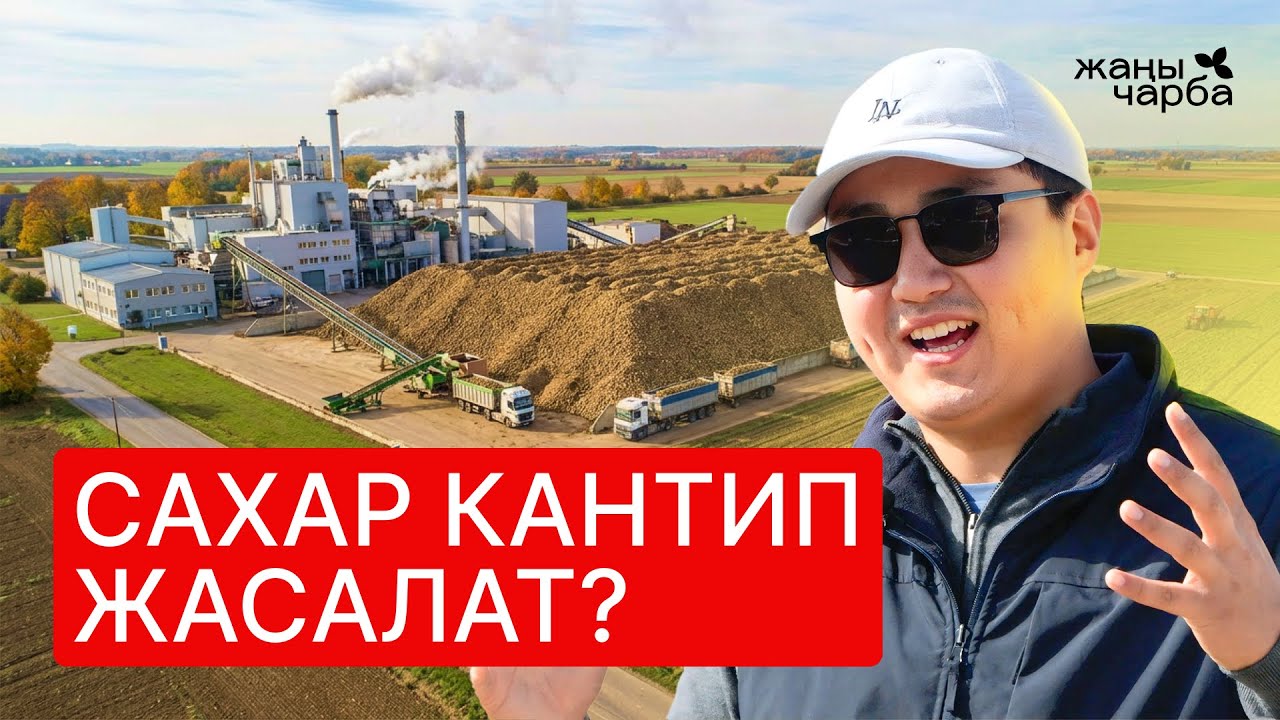 Кумшекер жасоо | 