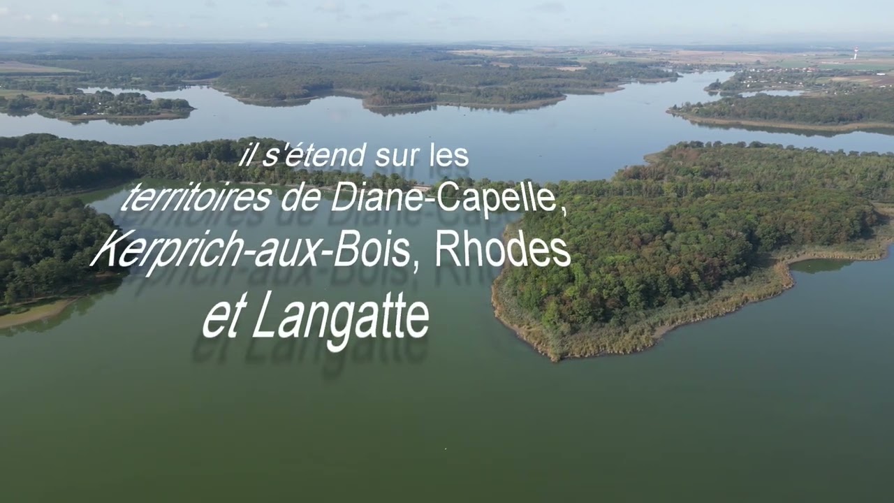 L'étang du Stock à Langatte