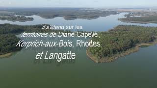 L'étang du Stock à Langatte