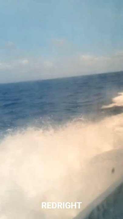 ASCENSAO DOS GLADIADORES